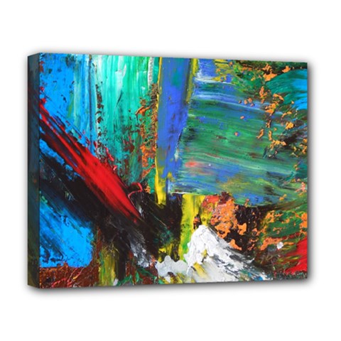 Garden Deluxe Canvas 20  X 16  (stretched) by WILLBIRDWELL