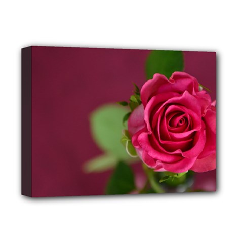 Rose 693152 1920 Deluxe Canvas 16  X 12  (stretched)  by vintage2030