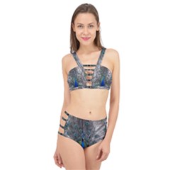 Peacock Bird Animals Pen Plumage Cage Up Bikini Set by Sapixe