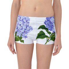 Flower 1775377 1280 Boyleg Bikini Bottoms by vintage2030