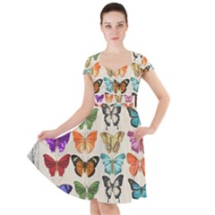 Butterfly 1126264 1920 Cap Sleeve Midi Dress by vintage2030