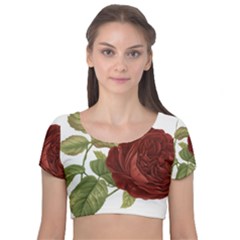 Rose 1077964 1280 Velvet Short Sleeve Crop Top  by vintage2030