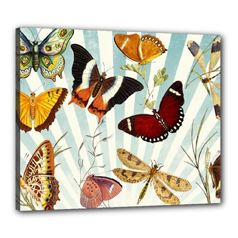 Butterfly 1064147 1920 Canvas 24  X 20  (stretched) by vintage2030