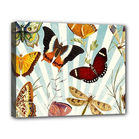 Butterfly 1064147 1920 Deluxe Canvas 20  X 16  (stretched) by vintage2030