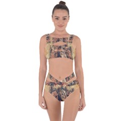 Head Horse Animal Vintage Bandaged Up Bikini Set  by Simbadda