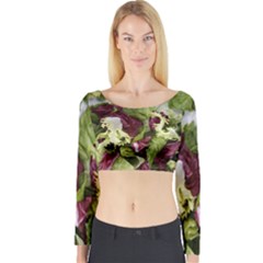 Salad Lettuce Vegetable Long Sleeve Crop Top by Sapixe