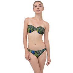 Peacock Close Up Plumage Bird Head Classic Bandeau Bikini Set by Wegoenart