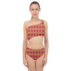 Zappwaits Retro Spliced Up Two Piece Swimsuit by zappwaits