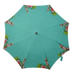 Come See The Cherry Trees Hook Handle Umbrellas (small) by WensdaiAmbrose