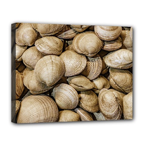 Shellfishs Photo Print Pattern Canvas 14  X 11  (stretched) by dflcprintsclothing