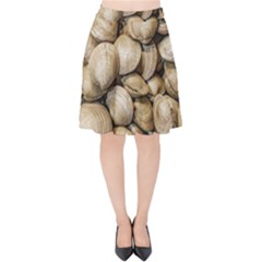 Shellfishs Photo Print Pattern Velvet High Waist Skirt by dflcprintsclothing