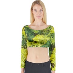 Garden Of The Phoenix Long Sleeve Crop Top by Riverwoman