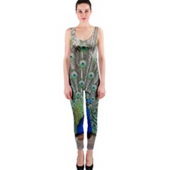 Peacock Bird Animal Feather One Piece Catsuit by Pakrebo