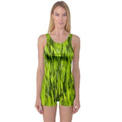 Agricultural Field   One Piece Boyleg Swimsuit by rsooll