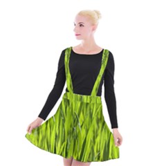 Agricultural Field   Suspender Skater Skirt by rsooll