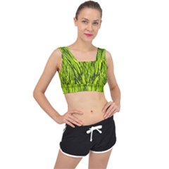 Agricultural Field   V-back Sports Bra by rsooll