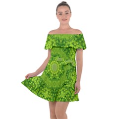 Spring Flower Joy Off Shoulder Velour Dress by pepitasart