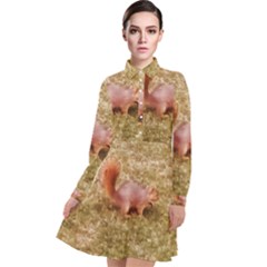 Squirrel Long Sleeve Chiffon Shirt Dress by Riverwoman