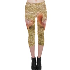 Squirrel Capri Leggings  by Riverwoman