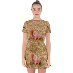 Squirrel Drop Hem Mini Chiffon Dress by Riverwoman