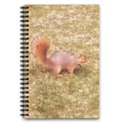 Squirrel 5 5  X 8 5  Notebook by Riverwoman