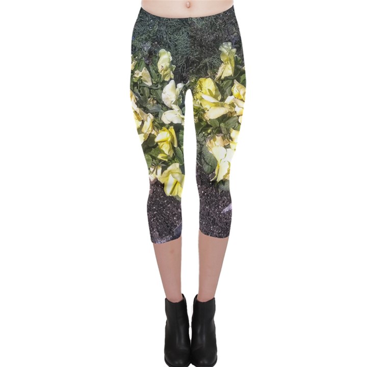 April Pansies Capri Leggings 