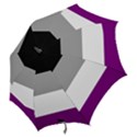 Asexual Pride Flag LGBTQ Hook Handle Umbrellas (Large) View2