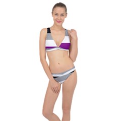 Asexual Pride Flag Lgbtq Classic Banded Bikini Set  by lgbtnation