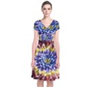 Rainbow Chrysanthemum Short Sleeve Front Wrap Dress View1