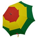 Bolivia Flag Hook Handle Umbrellas (Small) View2