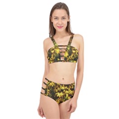 Echinacea Paradoxa Cage Up Bikini Set by Riverwoman