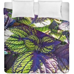 Dark Coleus Duvet Cover Double Side (king Size) by Riverwoman