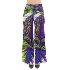 Dark Coleus So Vintage Palazzo Pants by Riverwoman