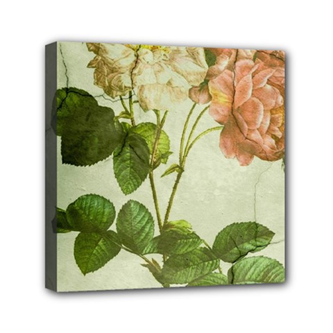 Peony 2507643 1920 Mini Canvas 6  X 6  (stretched) by vintage2030