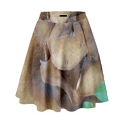 Close Up Mushroom Abstract High Waist Skirt by Fractalsandkaleidoscopes