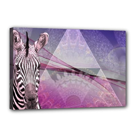 Egyptian Zebra Canvas 18  X 12  (stretched) by mccallacoulture