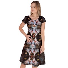 Cats7 Classic Short Sleeve Dress by MijizaCreations