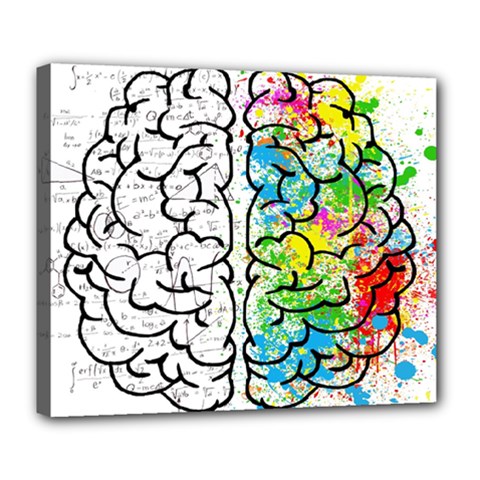 Brain Mind Psychology Idea Drawing Deluxe Canvas 24  X 20  (stretched) by Wegoenart