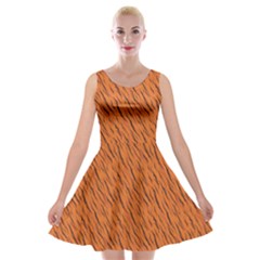 Animal Skin - Lion And Orange Skinnes Animals - Savannah And Africa Velvet Skater Dress by DinzDas