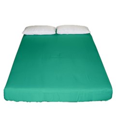 True Biscay Green Solid Color Fitted Sheet (queen Size) by SpinnyChairDesigns