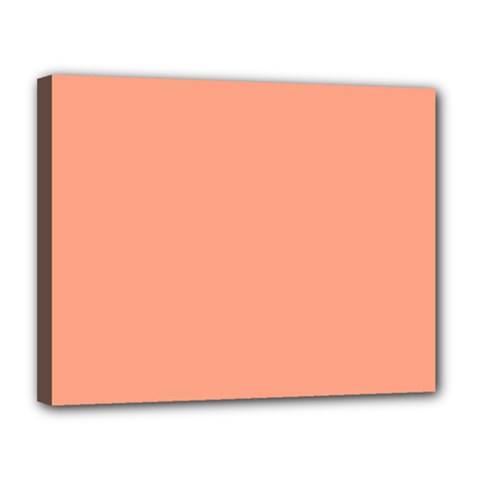 True Peach Color Canvas 14  X 11  (stretched) by SpinnyChairDesigns