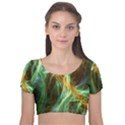 Abstract Illusion Velvet Short Sleeve Crop Top  View1