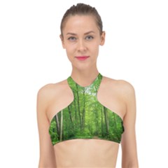 In The Forest The Fullness Of Spring, Green, High Neck Bikini Top by MartinsMysteriousPhotographerShop