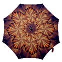 Sun Fractal Hook Handle Umbrellas (Medium) View1