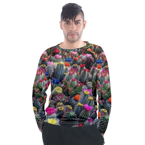 Cactus Men s Long Sleeve Raglan Tee by Sparkle