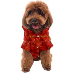 Colorful Strawberries At Market Display 1 Dog Coat by dflcprintsclothing