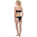 Blue Turtles On Black Classic Bandeau Bikini Set View2