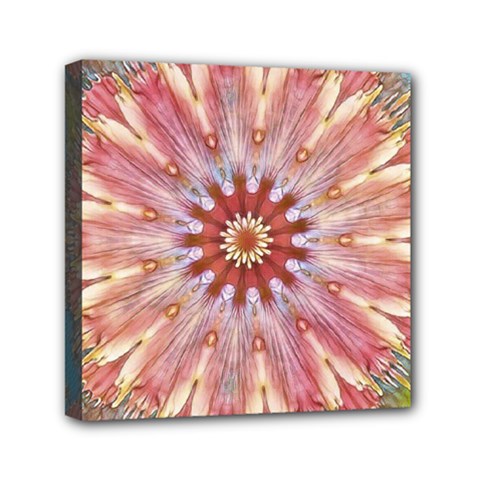 Pink Beauty 1 Mini Canvas 6  X 6  (stretched) by LW41021