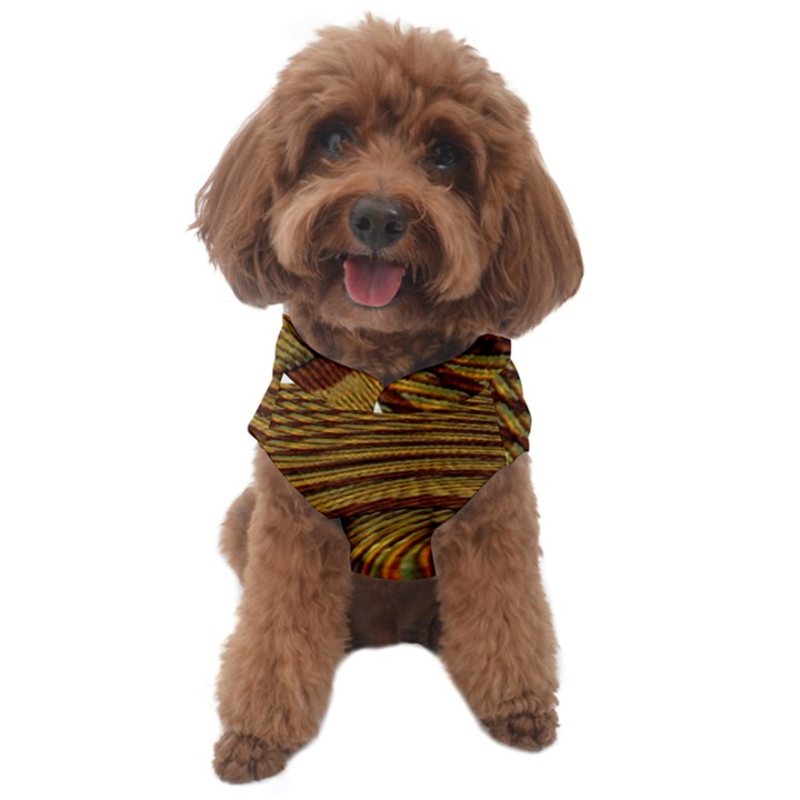 Golden Sands Dog Sweater