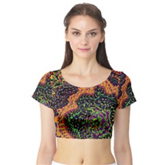 Goghwave Short Sleeve Crop Top by LW41021